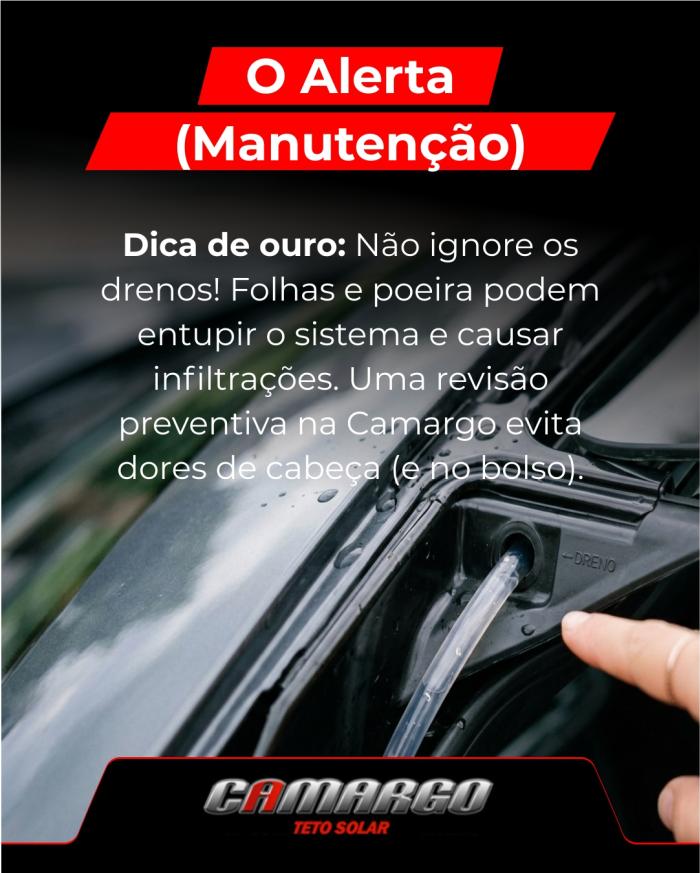 O Guia de Sobrevivência